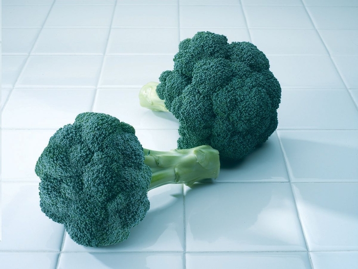 'Diplomat F1' Broccoli - Brassica from Robinson Florists