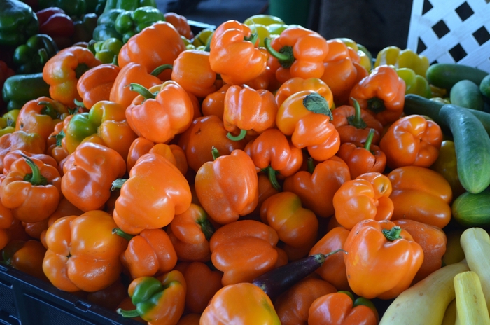 Orange Bell Pepper - Capsicum annuum from Robinson Florists