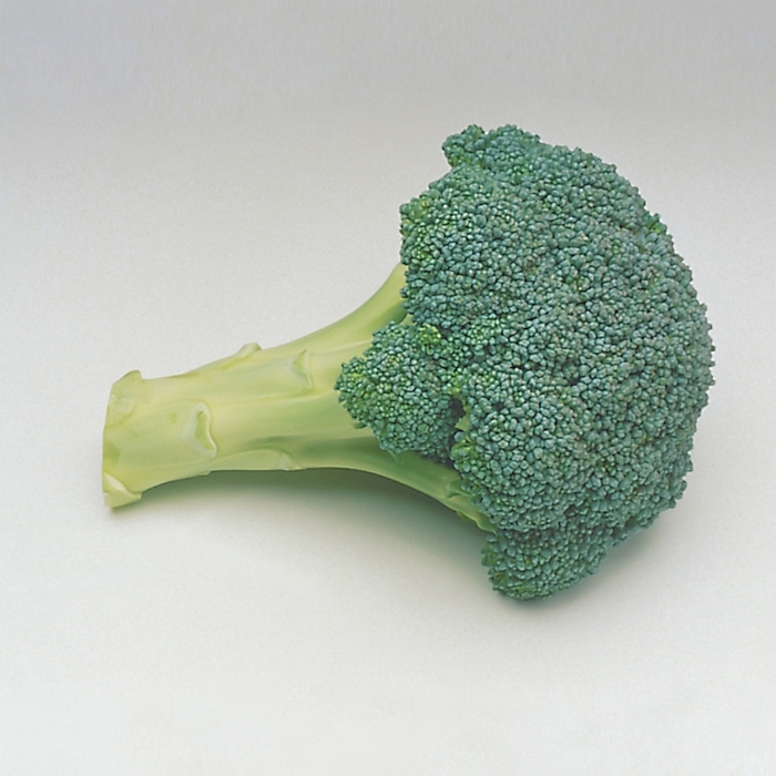 Broccoli - Brassica Everest from Robinson Florists