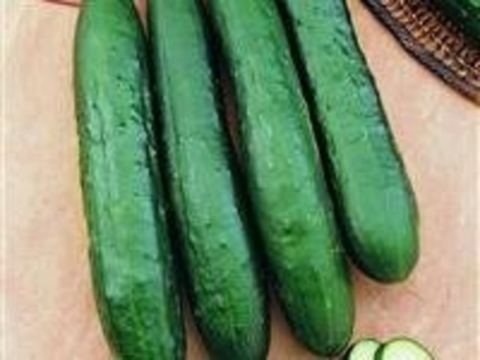 'Burpless Supreme' Cucumber - Cucumis sativus from Robinson Florists