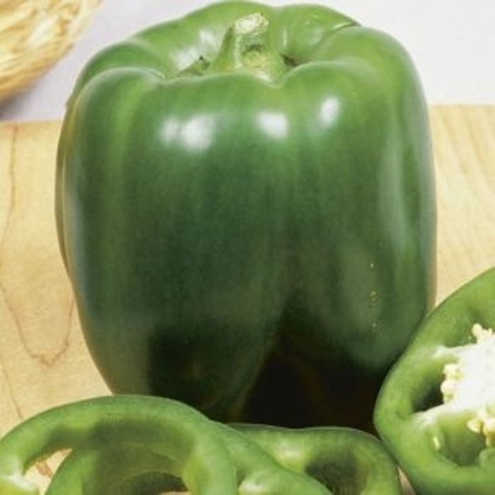 'Better Belle II' Sweet Bell Pepper - Capsicum annuum from Robinson Florists