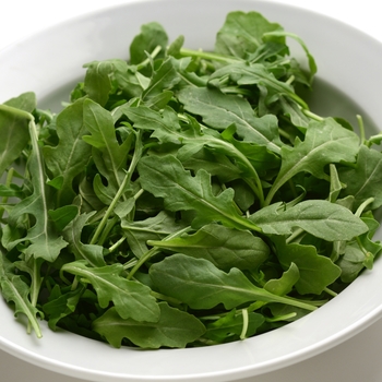 Arugula sativa - Arugula